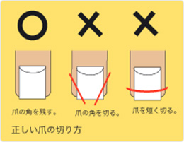 正しい爪の切り方